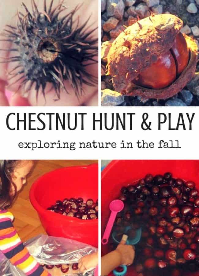 Best Toys 4 Toddlers - Exploring nature in the fall with kids: Chestnut hunt and sensory play