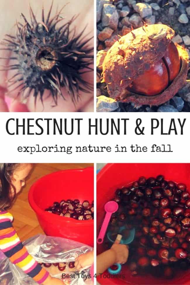 Best Toys 4 Toddlers - Exploring nature in the fall with kids: Chestnut hunt and sensory play