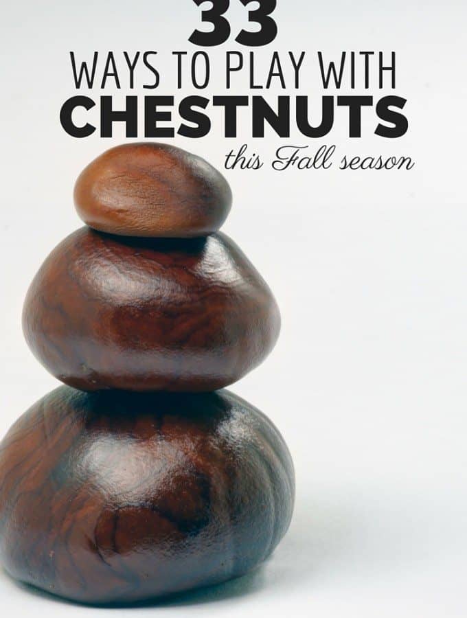 33 Ways to Play with Chestnuts this Fall season