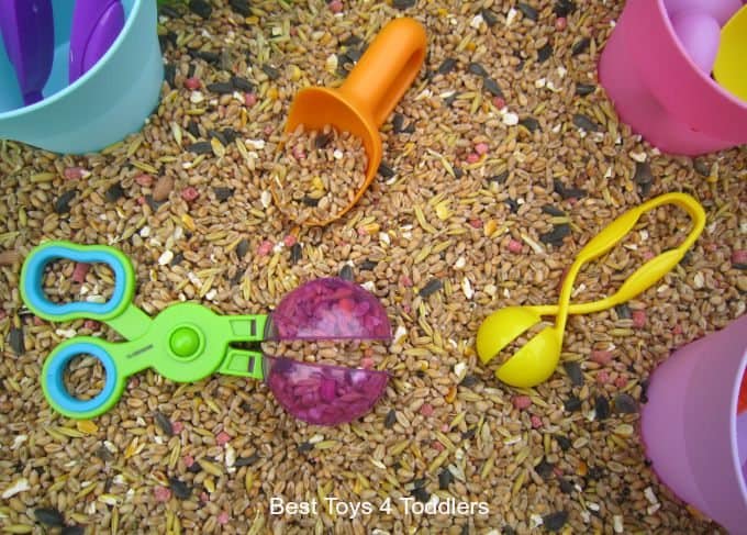 Toddlers get to practice their fine motor skills using bird seed and different tools
