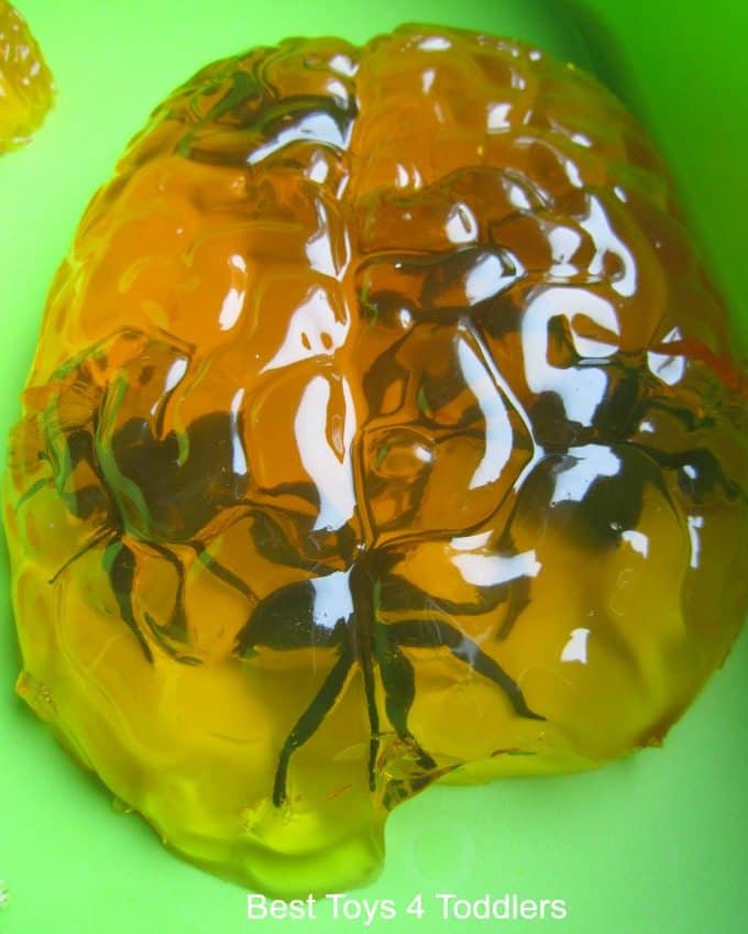 Large brain made from jelly