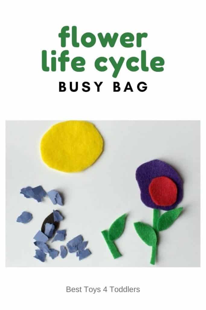 Learn about flower life cycle with an easy to prepare usy bag